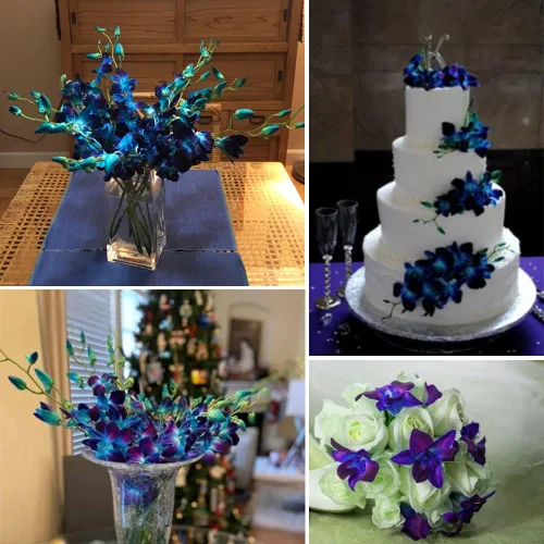 Miniatura 3 de 60 cabezas de orquídeas artificiales, 12 piezas de flores de orquídeas artificiales para velas flotantes, centros de mesa de boda, decoración