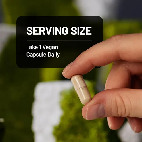 Miniatura 9 de NatureWise Extracto de grano de café verde, cápsulas de grano de café verde puro de 800 mg con 50% de soporte de ácido clorogénico