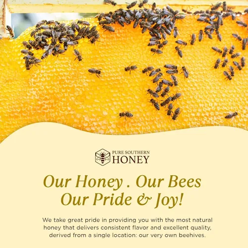 Miniatura 4 de Miel de flores silvestres 100% cruda y sin filtrar, fabricada en Estados Unidos por Pure Southern Honey (48 onzas)