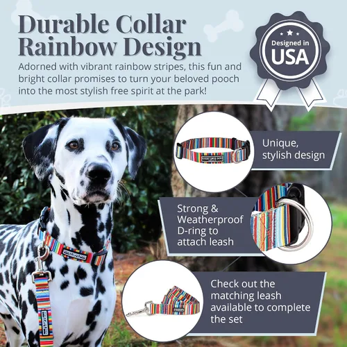 Miniatura 2 de Lucky Love Dog - Collar de perro ajustable con hebilla de fácil clic para los grandes, duradero y cómodo para perros machos y hembras, collar