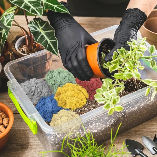 Miniatura 6 de MECCANIXITY Musgo de reno preservado de 7.8 onzas, musgo artificial decorativo negro para plantas en maceta, manualidades de interiores, centros