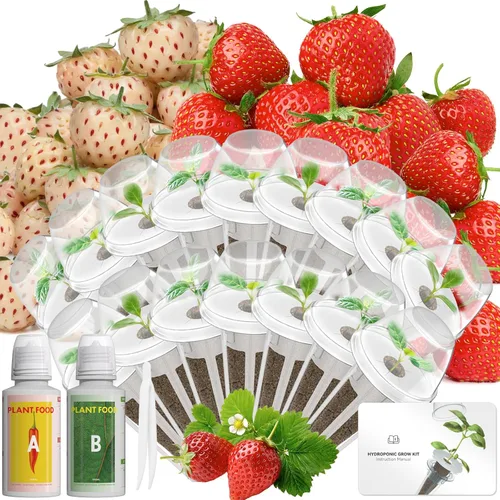 Miniatura 8 de Kit de cápsulas de semillas de hierbas gourmet compatible con AeroGarden, idoo, Ahopegarden, Gardencube con albahaca, perejil, tomillo, menta