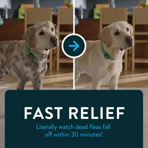 Miniatura 6 de Capstar (Nitenpyram) Tratamiento oral de pulgas de acción rápida para perros de 2 a 25 libras, tabletas de medicamentos recomendadas por
