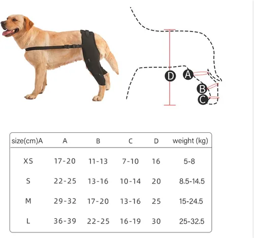 Miniatura 5 de Soporte de rodilla ajustable para perros, recuperación de piernas traseras y protección articular