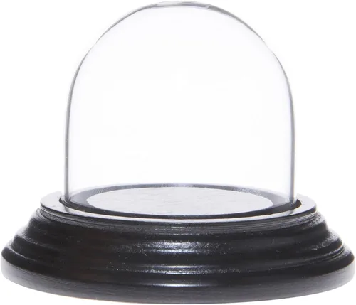 Miniatura 9 de Plymor 1.875" x 1.875" Mini cristal Display Dome Cloche (base de chapa de caoba oscura)