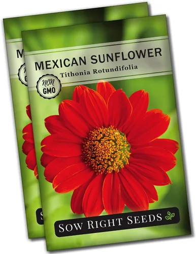 Miniatura 7 de Sow Right Seeds - Semillas de girasol mexicano para plantar - Paquete de reliquia sin OMG con instrucciones para cultivar - Flores de color naranja