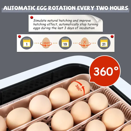 Miniatura 6 de Sailnovo Incubadora de 70 huevos para incubar huevos con giro automático de huevos y humidificación automática, control de temperatura, vela