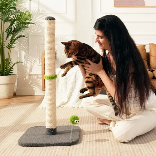 Miniatura 8 de TINYBEAST Rascador para gatos de 34 pulgadas de alto, rascador para gatos con cuerda de sisal natural, árbol para gatos con bola de juguete Gris
