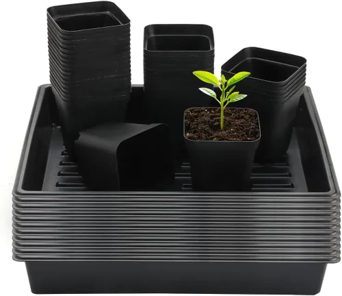 Miniatura 15 de RooTrimmer Macetas cuadradas de 3.5 pulgadas (3.5 in), 60 piezas, bandejas resistentes para plántulas, 5 piezas, bandeja de germinación