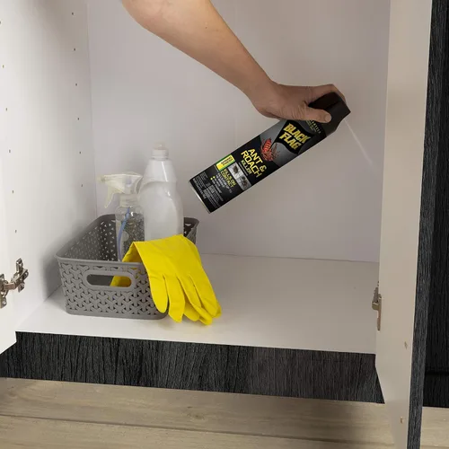 Miniatura 5 de Black Flag Ant & Roach Killer Aerosol, aroma fresco de primavera, 17.5 onzas, paquete de 12