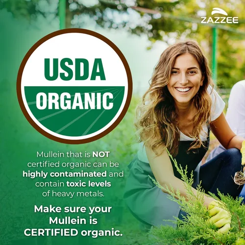 Miniatura 2 de Zazzee USDA Organic Mullein Leaf 10:1 Extracto, 120 cápsulas veganas, suministro para 4 meses, Verbascum Thapsus, soporte respiratorio y pulmonar