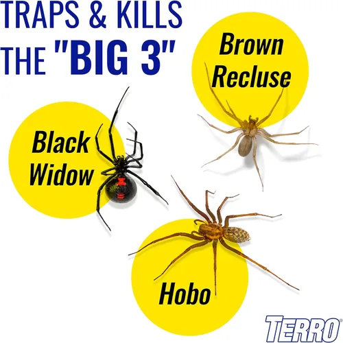 Miniatura 3 de TERRO T3206SR - Trampas no tóxicas para arañas, hormigas, cucarachas, ciempiés e insectos, incluye 12 trampas para insectos en interiores