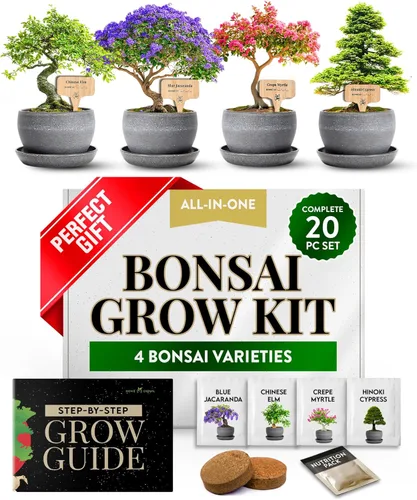 Miniatura 9 de HOME GROWN Kit de árbol bonsái – 6 variedades heredadas con macetas únicas – Kit de inicio de bonsái DIY para adultos y principiantes – Regalo