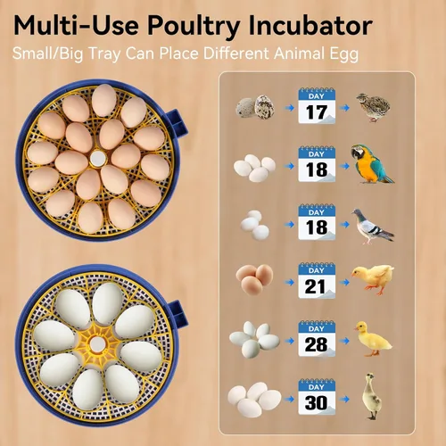 Miniatura 7 de Incubadoras de 18 huevos para incubar huevos, incubadora de huevos de gallina con giro automático de huevos y control de temperatura y humedad, tapa