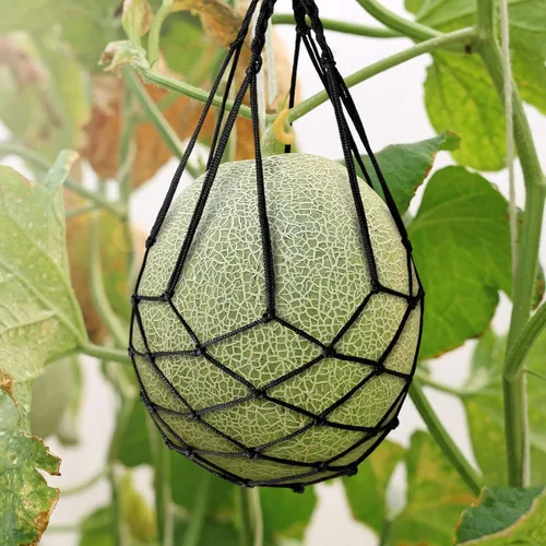 Miniatura 3 de Paquete de 10 hamacas de melón con redes de sandía, hamaca de melón para enrejado de alta resistencia, perfecta para cultivar melón negro