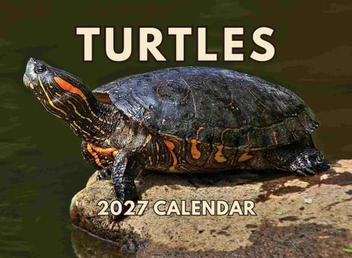 Miniatura 22 de Calendario alpaca 2026, calendario mensual de pared de 12 meses Hecho en Estados Unidos.