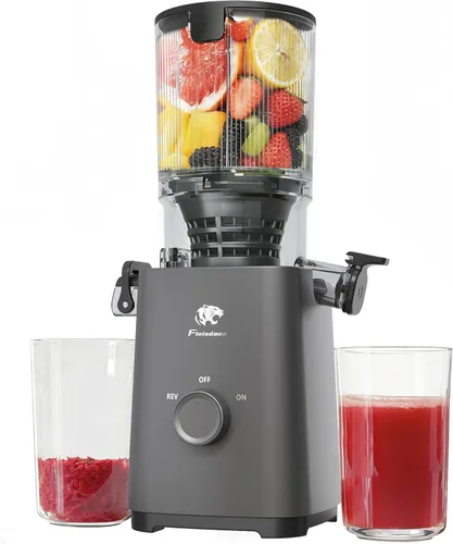 Exprimidor de prensa en frío, 5.3 pulgadas, gran conducto de alimentación exprimidor de masticación lenta, potente motor sin escobillas de CA para