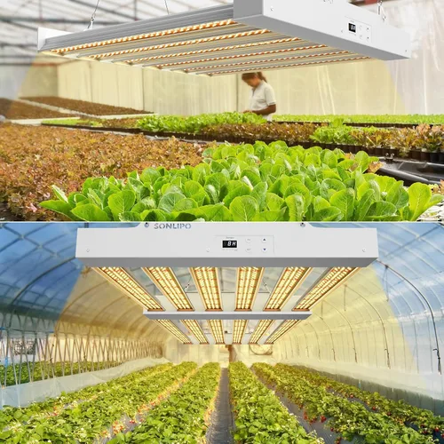 Miniatura 8 de 2024 Nuevo SPF2000 PRO Luz LED de 200W para Cultivo 3x3 pies de Cobertura con Temporizador y Atenuador para Plantas de Interior en Fase Vegetativa