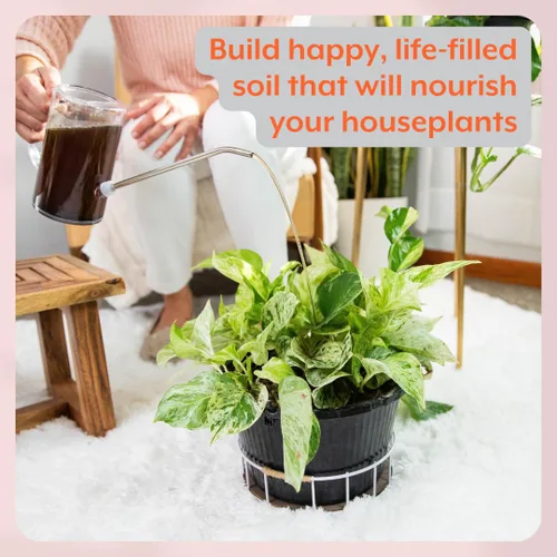 Miniatura 4 de Soporte instantáneo para plantas Probióticos de suelo y micorrizas para plantas de interior y jardines de interior Sin olor - Sin polvo - Sin