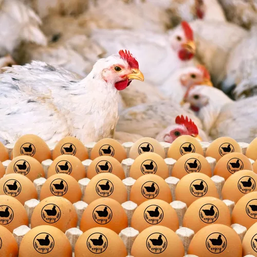 Miniatura 7 de SAVITA Sellos de huevos, bonitos sellos de huevos para huevos frescos con almohadilla de sello, sello personalizado para huevos de granja