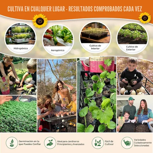 Miniatura 5 de Paquete de variedad de 25 semillas de vegetales y frutas de verano - más de 1,870 semillas autóctonas sin OMG para jardinería en interiores
