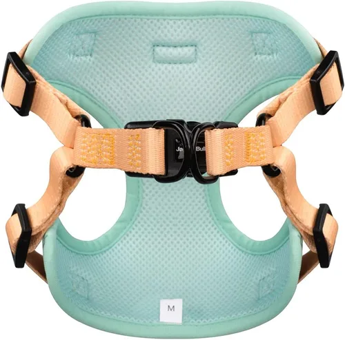 Miniatura 3 de Jack & Bully Arnés para perro, chaleco sin tirones, de neopreno ajustable, suave con malla transpirable, para todo tipo de clima, bulldog francés