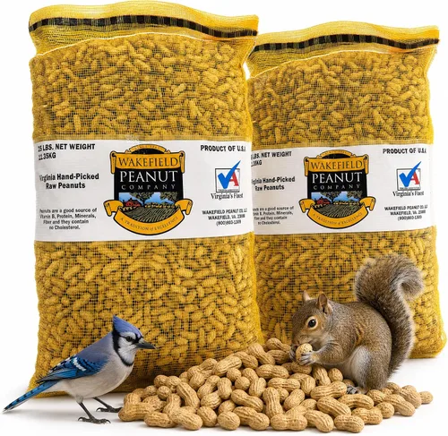 Miniatura 15 de Wakefield - Cacahuetes Virginia prémium para ardillas, arrendajos azules y vida silvestre, bolsa de 6 libras, recogidos a mano, crudos, sin sal
