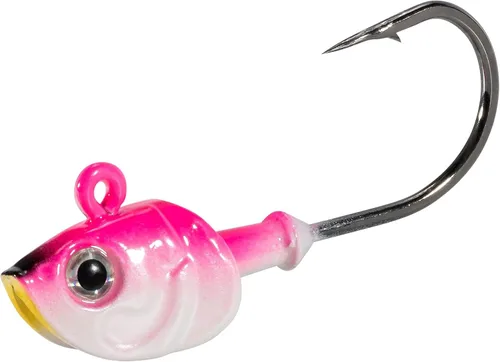 Dr.Fish Paquete de 10 Cabezas de Jig para Swimbait, Cabezas de Jig de Pesca en Agua Salada Ojos 3D Anzuelos de Acero de Alto Carbono Señuelos de Rosa