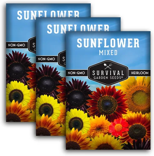 Miniatura 11 de Survival Garden Seeds - Mezcla de semillas de girasol populares para plantar - 2 paquetes con instrucciones para cultivar hermosas flores en tu