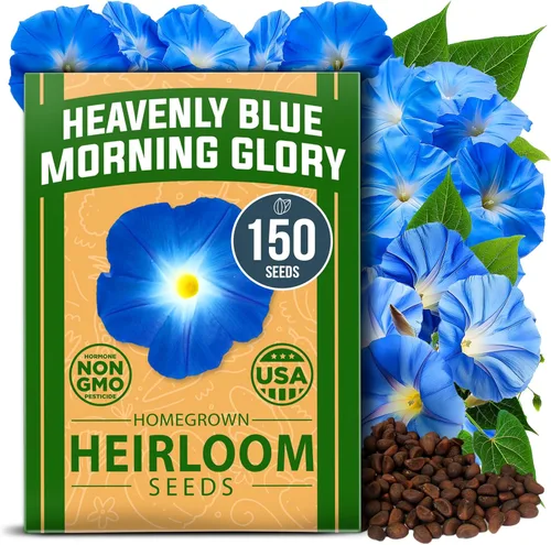 Miniatura 102 de HOME GROWN Mezcla de semillas germinantes de primera calidad, microgreens 118,200 semillas para cultivo en interiores, brócoli, alfalfa, rábano