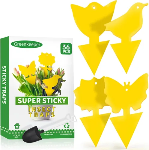 36 piezas de trampas adhesivas clásicas para mosquitos del hongo (plantas), moscas de la fruta, mosca blanca y mosca, trampas adhesivas amarillas
