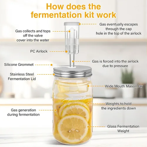 Miniatura 8 de Kit de fermentación de tarros Mason de 32 onzas, chucrut/decapado con 2 tarros de fermentación, 2 tapas de fermentación, 2 pesos de fermentación