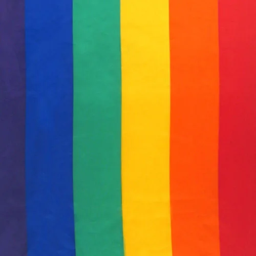 Miniatura 2 de Sunshine Joy Tapiz del orgullo gay, sábana de playa, colcha para colgar en la ventana (60 x 90 pulgadas)