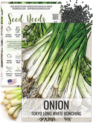 Miniatura 10 de Seed Needs Semillas de cebolla para plantar cebollas de día corto rojo burdeos, semillas de verduras sin tratar y sin OMG para plantar un jardín