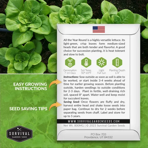 Miniatura 2 de Semillas de lechuga para plantar todo el año – Variedad de cabeza de mantequilla de empernado lento para climas frescos y moderados – Cosecha fiable