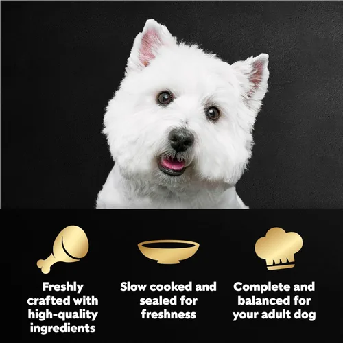 Miniatura 2 de Cesar Filets en Salsa Comida Húmeda para Perros Sabor Pollo Asado, Sabor Filete Mignon y Pollo a la Parrilla Variedades, Comida Húmeda para Perros