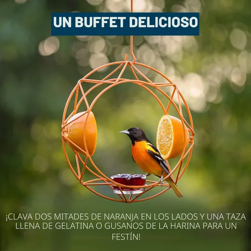 Miniatura 3 de MEKKAPRO Sun Baltimore - Comedero para oropéndolas para exteriores, comedero de metal para gelatina y naranja, diseño único de sol y comedero