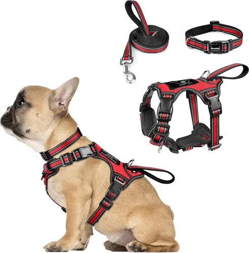 WINSEE - Juego de arnés, collar y correa para mascotas, todo en uno, arnés reflectante para perros sin tirones con hebillas ajustables para Rojo