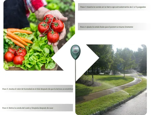 Miniatura 4 de XLUX Medidor de humedad del suelo, monitor de agua, higrómetro para jardinería, agricultura, plantas, no requiere baterías, paquete de 2 Verde 2