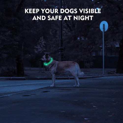 Miniatura 3 de NOVKIN Collar de perro con luz LED, collar de perro con luz recargable, luces para perros impermeables IP67 para caminar por la noche, collar de Rojo