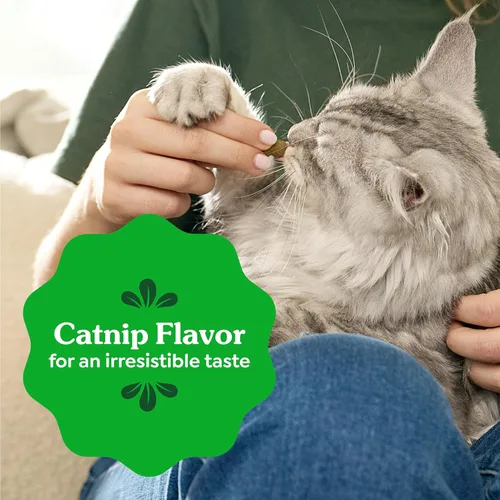 Miniatura 9 de Greenies Golosinas dentales naturales para gatos adultos recomendadas por veterinarios felinos, sabor hierba gatera, bolsa de 2.1 onzas