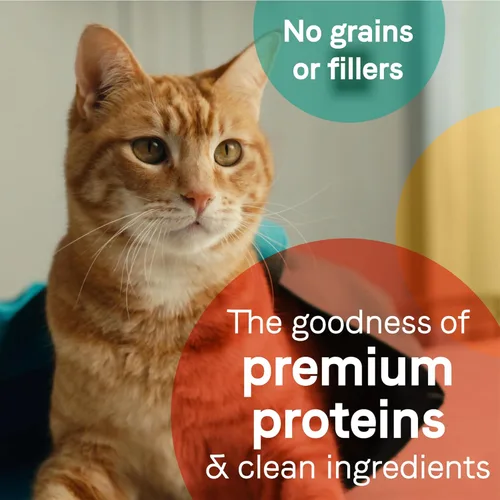 Miniatura 6 de Canidae Pure Adore - Alimento húmedo prémium para gatos, atún, pollo y caballa en caldo, 2.46 onzas (caja de 24), sin granos