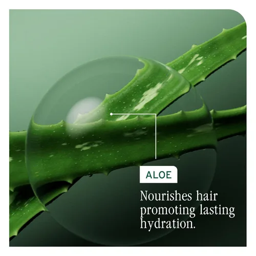 Miniatura 5 de BIOLAGE Hydra Source - Solución desenredante para cabello seco, desenreda y controla la estática para menos encrespamiento y se escapa, sin parabenos