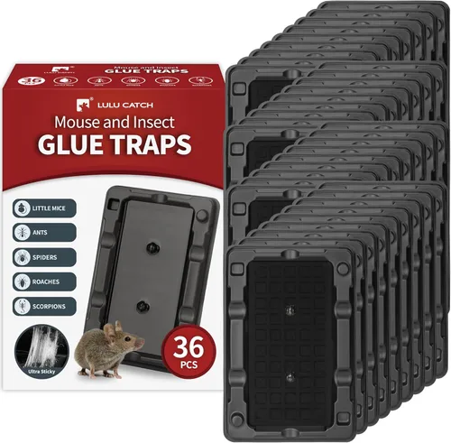 Miniatura 13 de LULUCATCH Trampas para ratones, paquete de 4, trampas de pegamento más grandes y pesadas para ratones, ratas y serpientes, trampas adhesivas
