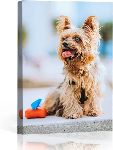 Gowelly Impresiones en lienzo personalizadas con tus fotos, arte de pared único en lienzo y decoración del hogar, regalos fotográficos