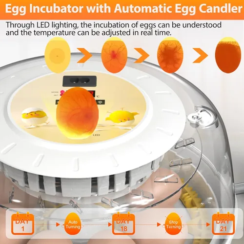 Miniatura 4 de Incubadoras de huevos para incubar huevos con girador automático de huevos, 8 incubadoras para huevos de gallina con vela de huevos para pollo