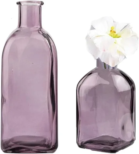 Jarrones transparentes de 2 juegos de jarrones pequeños de vidrio coloridos para flores, botellas de vidrio decorativas, frascos de boticario, mini