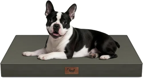 Miniatura 94 de Cama ortopédica de felpa para perros y cachorros medianos, camas impermeables para perros de 30 x 20 pulgadas con funda extraíble lavable, tapete