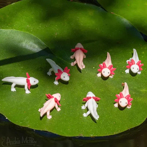 Miniatura 7 de Accoutrements Archie McPhee Itty Bitty Axolotls 8 Pack