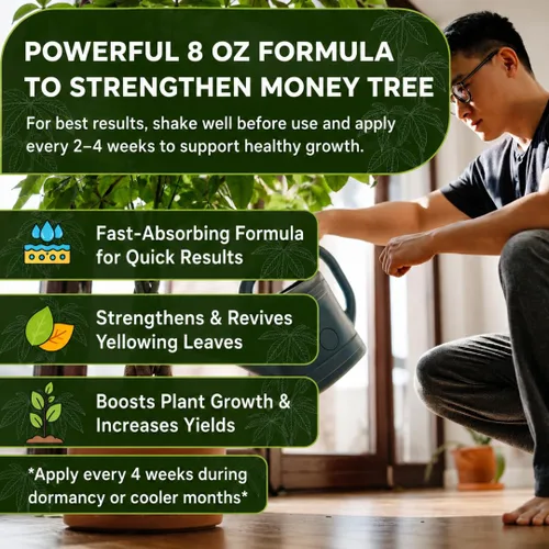 Miniatura 5 de Abono Líquido Profesional para Árbol del Dinero Concentrado 3-1-2 para Plantas y Flores Mezcla Multiusos y Suministros de Jardinería Botella